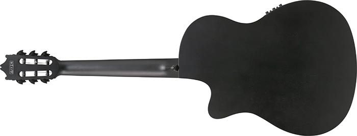 Guitarra Electroacústica Ibanez GA621-BOT — vista 5