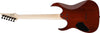 Guitarra Eléctrica Ibanez GRGR221PA-AQB — vista 5