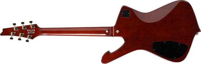 Guitarra eléctrica Ibanez IC420-CGM Coral Green Metallic — vista 5