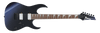 Guitarra Eléctrica Ibanez RG421DX-TWS — vista 1
