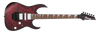 Guitarra eléctrica Ibanez RG470DXW-WZM Wine Red Frozen Matte — vista 1