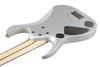 Guitarra Electrica Ibanez 8 Cuerdas Rgdms8-Classic Silver Matte