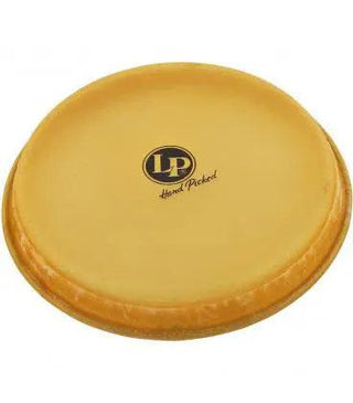 Parche Lp264A Bongo - The Music Site