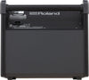 Monitor Roland Pm-100 10 Pulgadas