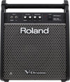 Monitor Roland Pm-100 10 Pulgadas