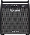 Monitor Roland Pm-200 12 Pulgadas