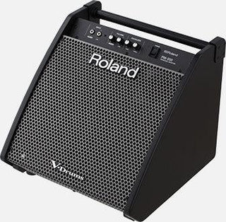 Monitor Roland Pm-200 12 Pulgadas