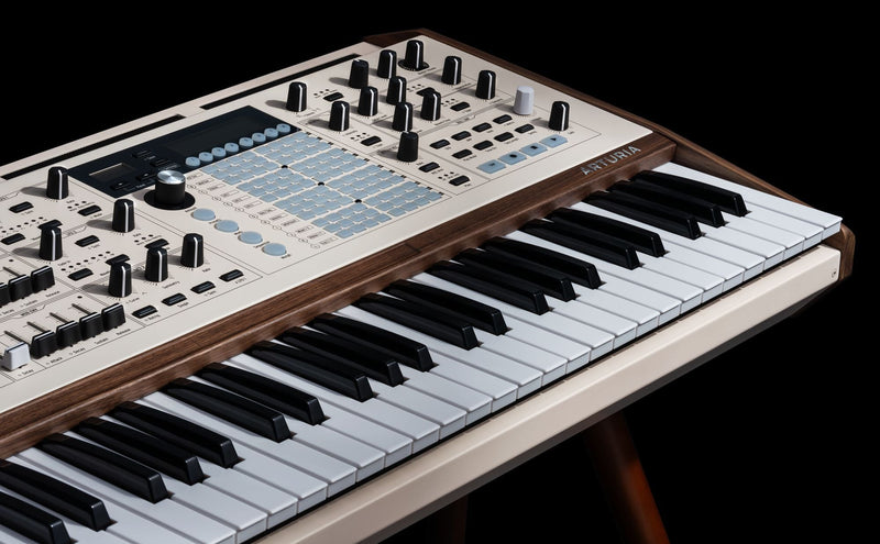 Vista del producto — PolyBrute 12 / 551002 — 1048723