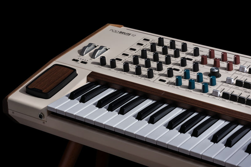 Vista del producto — PolyBrute 12 / 551002 — 1048723