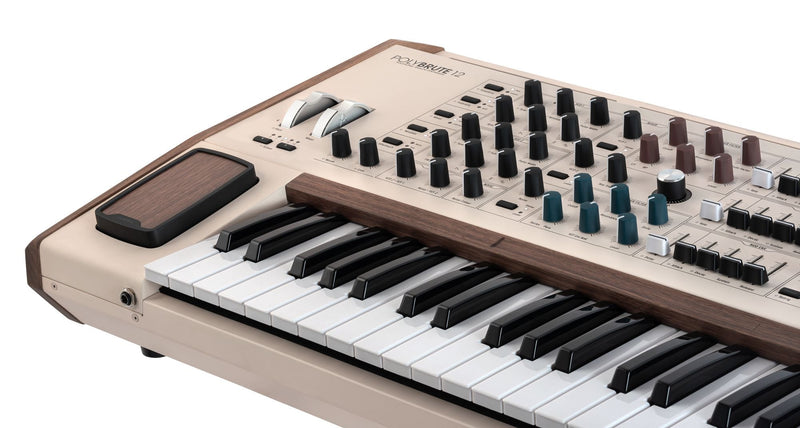 Vista del producto — PolyBrute 12 / 551002 — 1048723