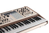 Vista del producto — PolyBrute 12 / 551002 — 1048723