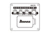 Guitarra Electroacustica Ibanez Aad50ce-lbs