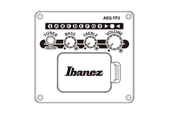 Guitarra Electroacustica Ibanez Aad50ce-lbs