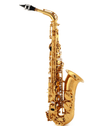 Saxofon Alto Victory G2-TAGL Triumph Series - The Music Site