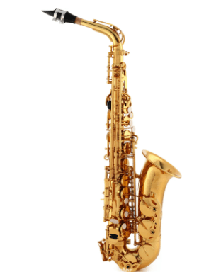 Saxofon Alto Victory G2-TAGL Triumph Series - The Music Site