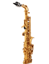 Saxofon Alto Victory G2-TAGL Triumph Series - The Music Site