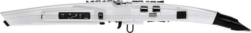 Aerófono Digital Roland Ae-20 - The Music Site