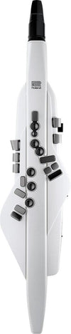 Aerófono Digital Roland Ae-20 - The Music Site