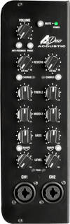 Amplificador Laney De Guitarra Acústica A Duo - The Music Site
