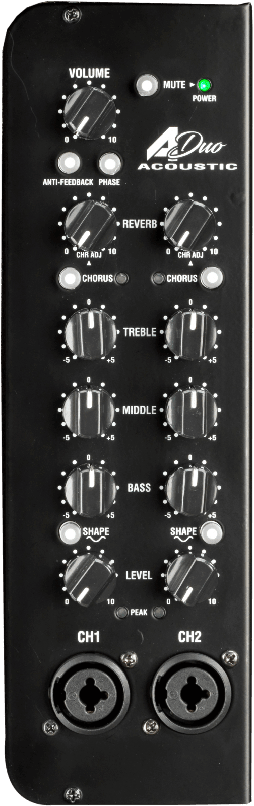 Amplificador Laney De Guitarra Acústica A Duo - The Music Site