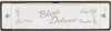 Armonica Fender Blues Deluxe en RE ( D ) 0990701004 - The Music Site