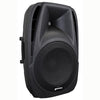 Cabina Gemini Es-15P Activa 15 - The Music Site
