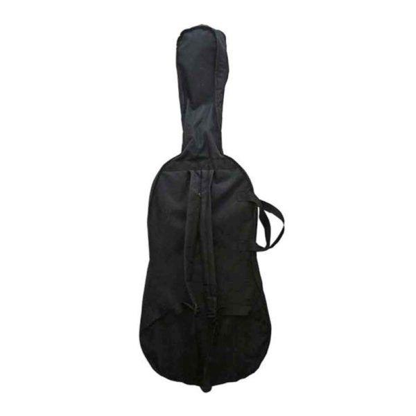 Contrabajo Cervini Hb-100 1/4 - The Music Site