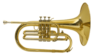 Corno Frances Jinbao Jbmf-060L - The Music Site
