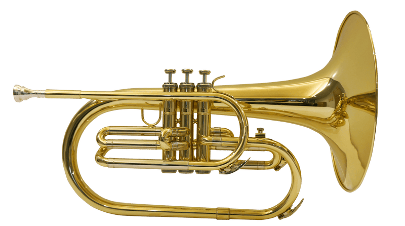 Corno Frances Jinbao Jbmf-060L - The Music Site
