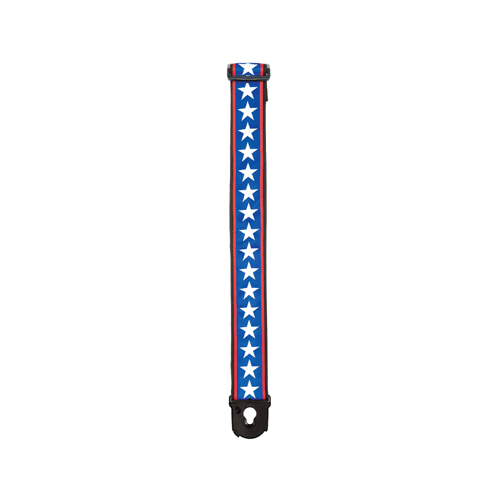 Correa D Addario Guit Elec 50Pla10/ 50Pl Seg. - The Music Site