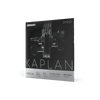 Encordado D Addario Kaplan Violin Kv310 4/4 - The Music Site