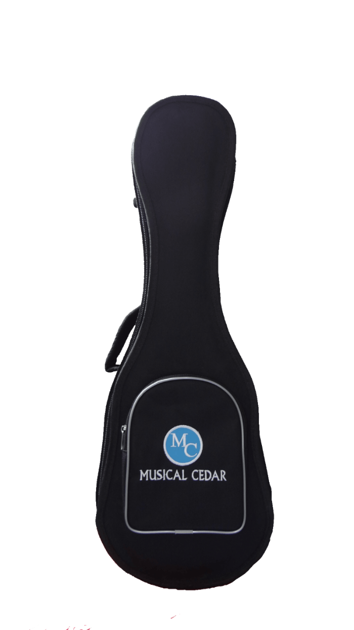 Estuche Semiduro Cuatro - The Music Site