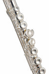 Flauta Jinbao Traversa Jbfl-6248S Llaves Cerradas - The Music Site