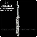 Flauta Piccolo Jinbao Jbpc-770N - The Music Site