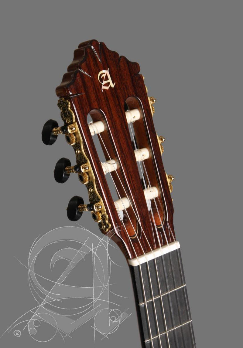 Guitarra Acustica Alhambra 10 Premier - The Music Site