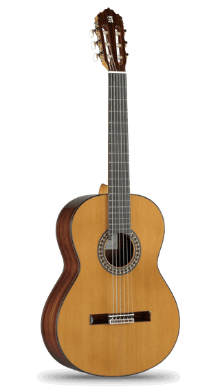 Guitarra Acustica Alhambra 5-P - The Music Site