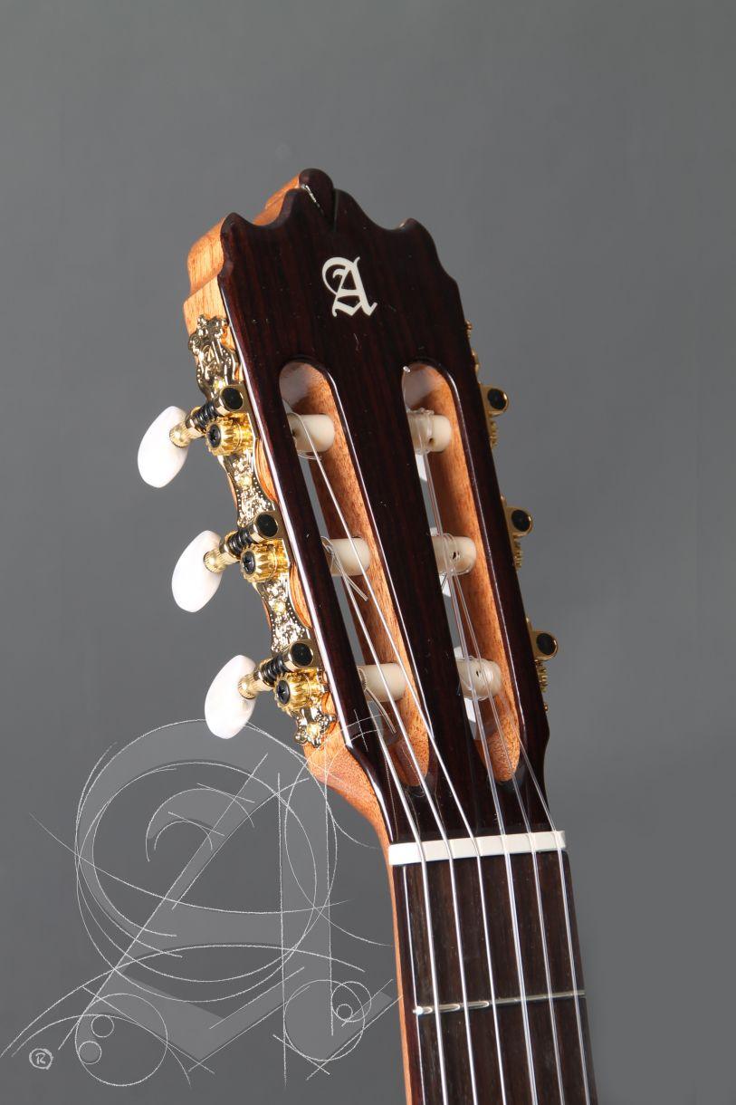 Guitarra Acustica Alhambra Iberia Ziricote - The Music Site