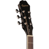 Guitarra Acústica Epiphone Ea10Vsch1 Dr-100 Vint. Sunburst Ch Hdwe - The Music Site