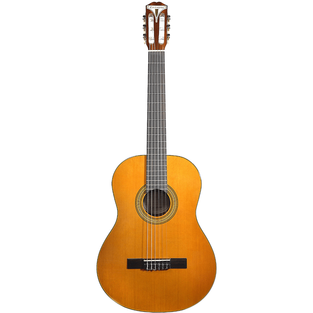 Guitarra Acustica Epiphone Eap2anch1 Pro-1 - The Music Site