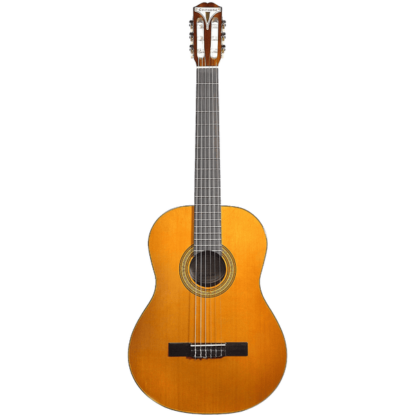 Guitarra Acústica Epiphone Eap2Anch1 Pro-1 - The Music Site