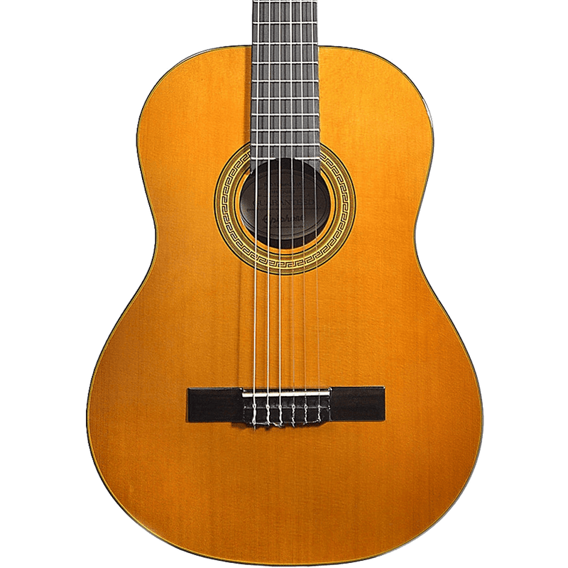Guitarra Acústica Epiphone Eap2Anch1 Pro-1 - The Music Site