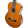 Guitarra Acústica Epiphone Eap2Anch1 Pro-1 - The Music Site