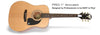 Guitarra Acustica Epiphone Eaprnach1 Pro-1 - The Music Site