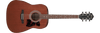 Guitarra Acustica Ibanez V54Njp-Open Pore Natural - The Music Site