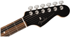 Guitarra Electrica Fender American Professional Stratocaster, Ebony Fingerboard, Lake Placid Blue Limited Edition 0113091702 - The Music Site