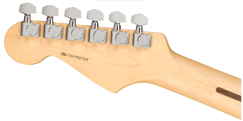 Guitarra Electrica Fender American Professional Stratocaster, Ebony Fingerboard, Lake Placid Blue Limited Edition 0113091702 - The Music Site