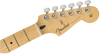 Guitarra Electrica Fender LTD Player Stratocaster MN SFP 0140219549 - The Music Site