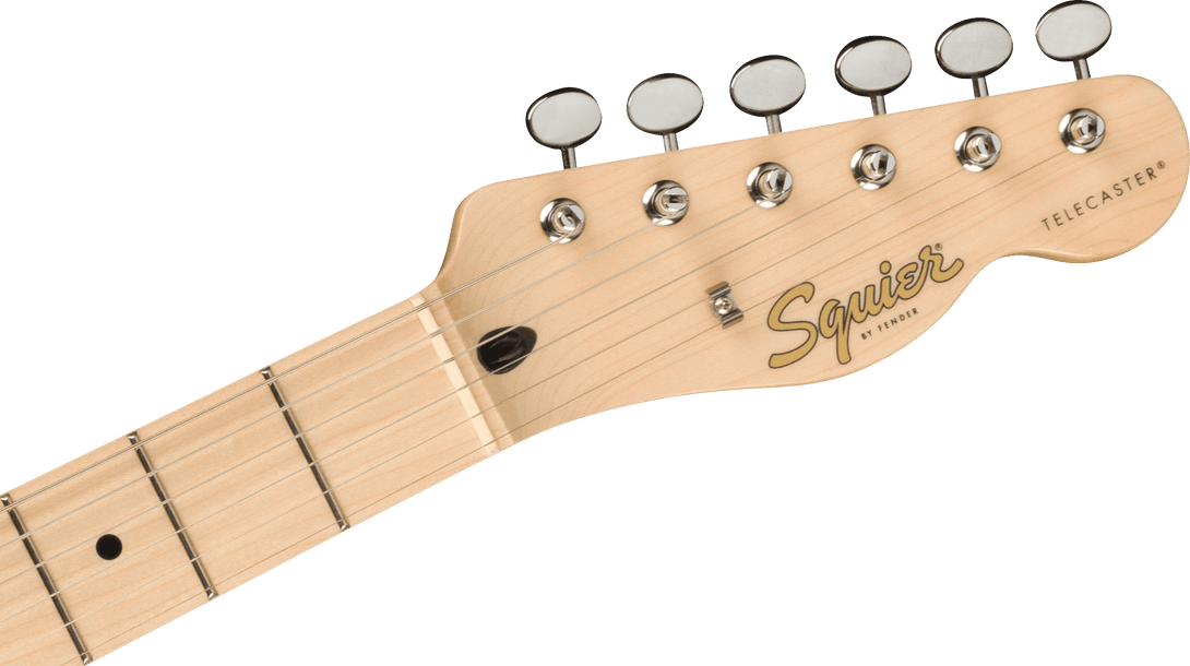 Guitarra Electrica Fender Paranormal Cabronita Telecaster® Thinline, diapasón de arce, golpeador anodizado dorado, Sunburst de 2 colores - The Music Site
