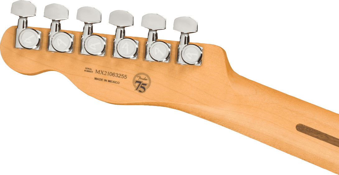 Guitarra Electrica Fender Player Plus Nashville Telecaster®, Pau Ferro Fingerboard, Opal Spark Bl0147343395 - The Music Site