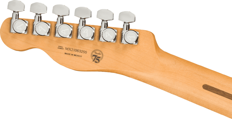 Guitarra Electrica Fender Player Plus Nashville Telecaster®, Pau Ferro Fingerboard, Opal Spark Bl0147343395 - The Music Site